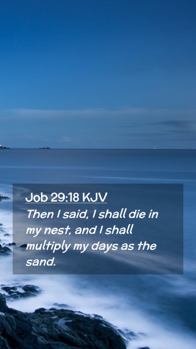 Picture 02 - Job 29:18 KJV Mobile Phone Wallpaper - Then I said, I shall die in my nest, and I shall - Mobile Bible Verse Wallpaper