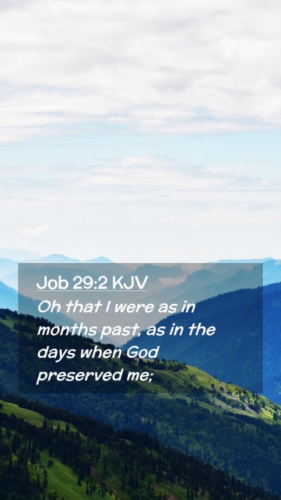 Picture 02 - Job 29:2 KJV Mobile Phone Wallpaper - Oh that I were as in months past, as in the days - Mobile Bible Verse Wallpaper