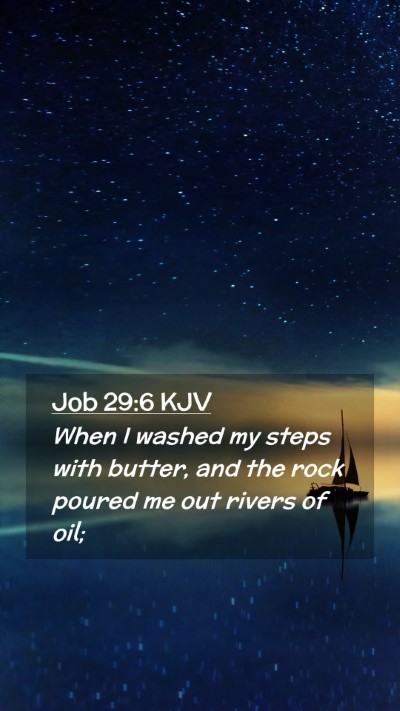 Picture 02 - Job 29:6 KJV Mobile Phone Wallpaper - When I washed my steps with butter, and the rock - Mobile Bible Verse Wallpaper
