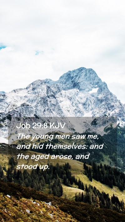 Picture 02 - Job 29:8 KJV Mobile Phone Wallpaper - The young men saw me, and hid themselves: and the - Mobile Bible Verse Wallpaper