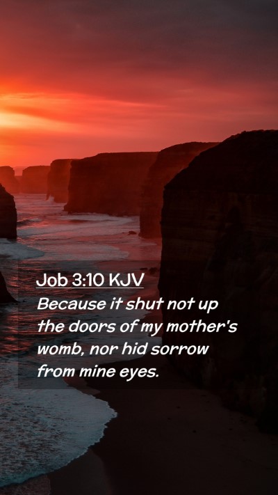 Picture 02 - Job 3:10 KJV Mobile Phone Wallpaper - Because it shut not up the doors of my mother's - Mobile Bible Verse Wallpaper