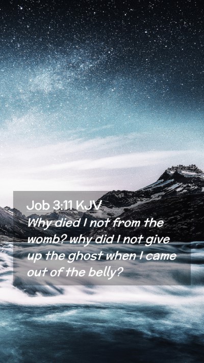 Picture 02 - Job 3:11 KJV Mobile Phone Wallpaper - Why died I not from the womb? why did I not give - Mobile Bible Verse Wallpaper
