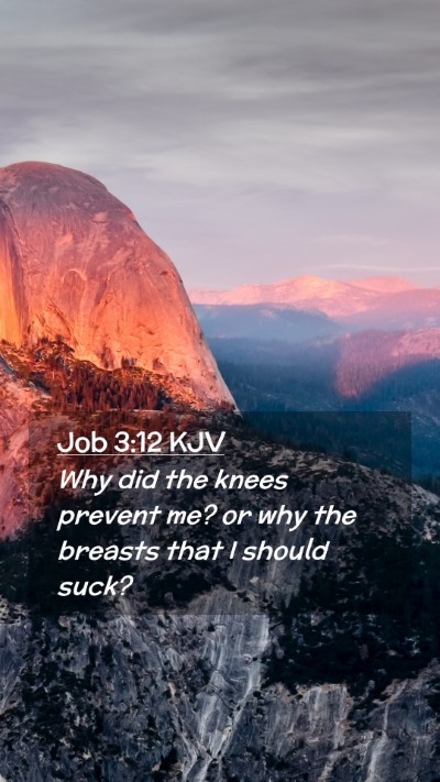 Picture 02 - Job 3:12 KJV Mobile Phone Wallpaper - Why did the knees prevent me? or why the breasts - Mobile Bible Verse Wallpaper