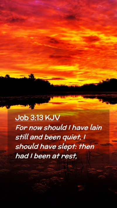Picture 02 - Job 3:13 KJV Mobile Phone Wallpaper - For now should I have lain still and been quiet, - Mobile Bible Verse Wallpaper