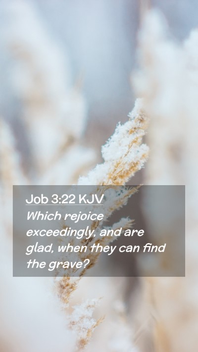 Picture 02 - Job 3:22 KJV Mobile Phone Wallpaper - Which rejoice exceedingly, and are glad, when - Mobile Bible Verse Wallpaper