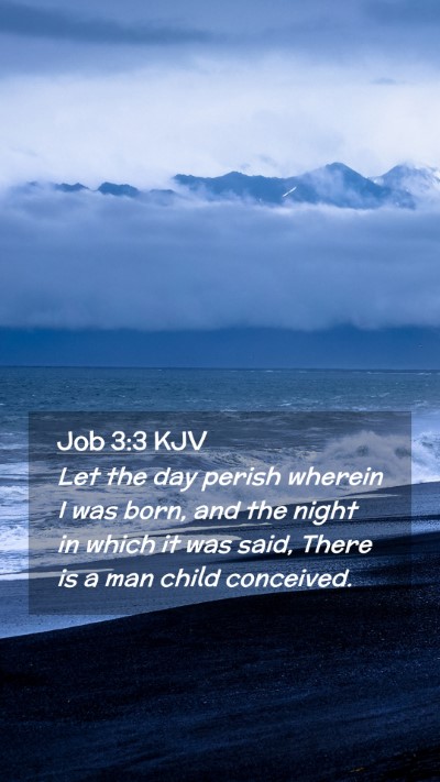 Picture 02 - Job 3:3 KJV Mobile Phone Wallpaper - Let the day perish wherein I was born, and the - Mobile Bible Verse Wallpaper