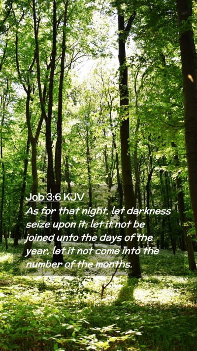 Picture 02 - Job 3:6 KJV Mobile Phone Wallpaper - As for that night, let darkness seize upon it; - Mobile Bible Verse Wallpaper