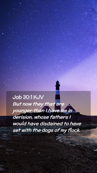 Picture 02 - Job 30:1 KJV Mobile Phone Wallpaper - But now they that are younger than I have me in - Mobile Bible Verse Wallpaper