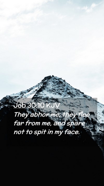 Picture 02 - Job 30:10 KJV Mobile Phone Wallpaper - They abhor me, they flee far from me, and spare - Mobile Bible Verse Wallpaper