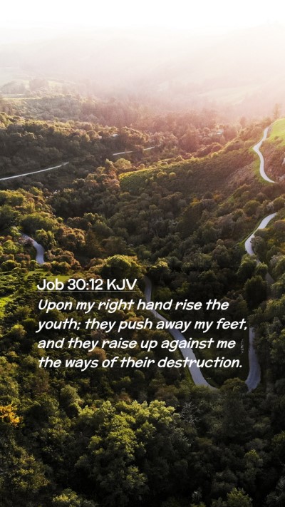 Picture 02 - Job 30:12 KJV Mobile Phone Wallpaper - Upon my right hand rise the youth; they push away - Mobile Bible Verse Wallpaper