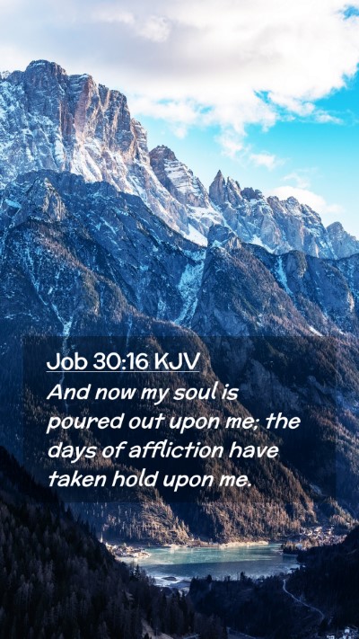 Picture 02 - Job 30:16 KJV Mobile Phone Wallpaper - And now my soul is poured out upon me; the days - Mobile Bible Verse Wallpaper
