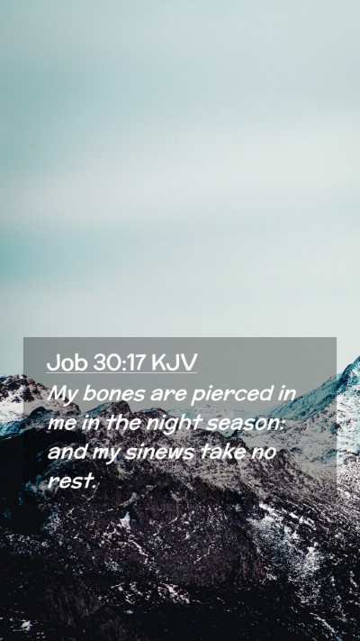 Picture 02 - Job 30:17 KJV Mobile Phone Wallpaper - My bones are pierced in me in the night season: - Mobile Bible Verse Wallpaper