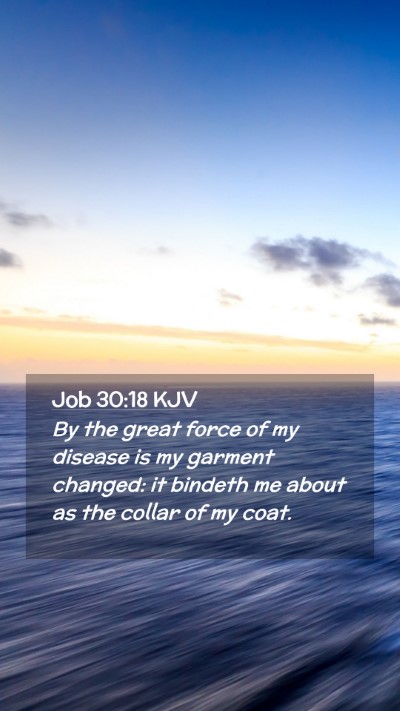 Picture 02 - Job 30:18 KJV Mobile Phone Wallpaper - By the great force of my disease is my garment - Mobile Bible Verse Wallpaper