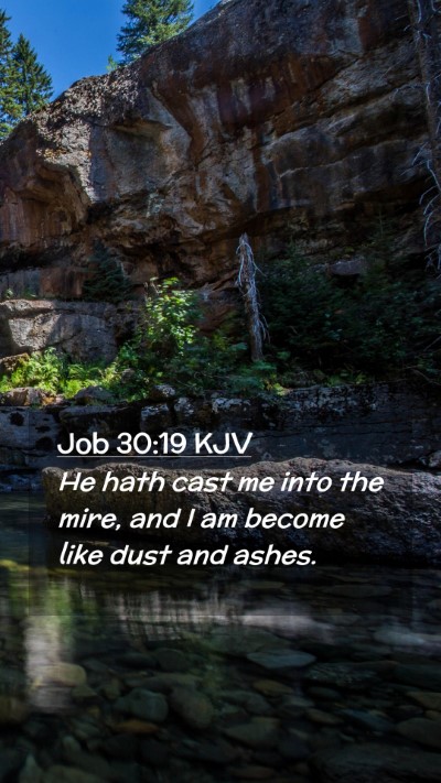 Picture 02 - Job 30:19 KJV Mobile Phone Wallpaper - He hath cast me into the mire, and I am become - Mobile Bible Verse Wallpaper