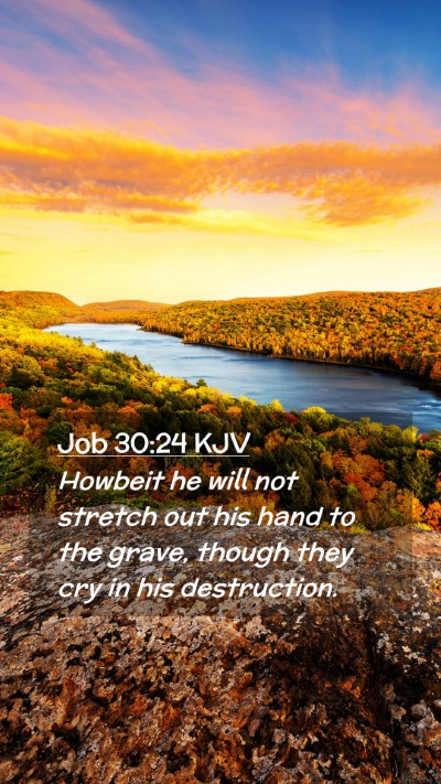 Picture 02 - Job 30:24 KJV Mobile Phone Wallpaper - Howbeit he will not stretch out his hand to the - Mobile Bible Verse Wallpaper