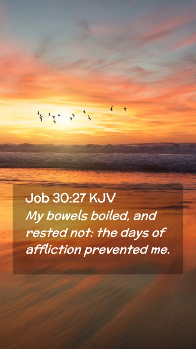 Picture 02 - Job 30:27 KJV Mobile Phone Wallpaper - My bowels boiled, and rested not: the days of - Mobile Bible Verse Wallpaper