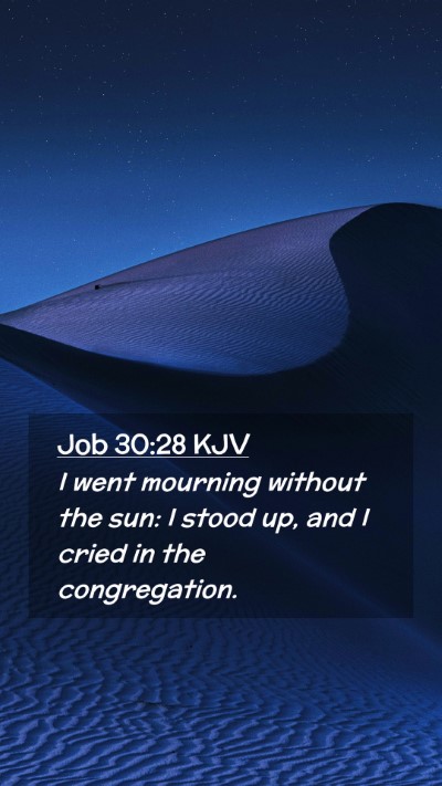 Picture 02 - Job 30:28 KJV Mobile Phone Wallpaper - I went mourning without the sun: I stood up, and - Mobile Bible Verse Wallpaper