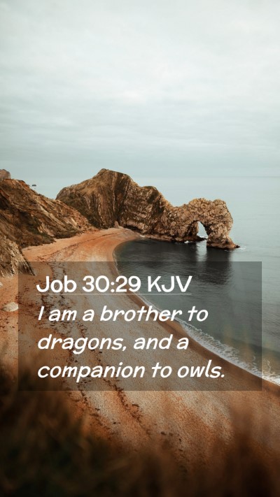 Picture 02 - Job 30:29 KJV Mobile Phone Wallpaper - I am a brother to dragons, and a companion to - Mobile Bible Verse Wallpaper