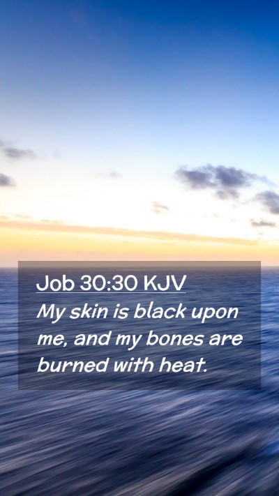Picture 02 - Job 30:30 KJV Mobile Phone Wallpaper - My skin is black upon me, and my bones are burned - Mobile Bible Verse Wallpaper