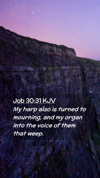 Picture 02 - Job 30:31 KJV Mobile Phone Wallpaper - My harp also is turned to mourning, and my organ - Mobile Bible Verse Wallpaper