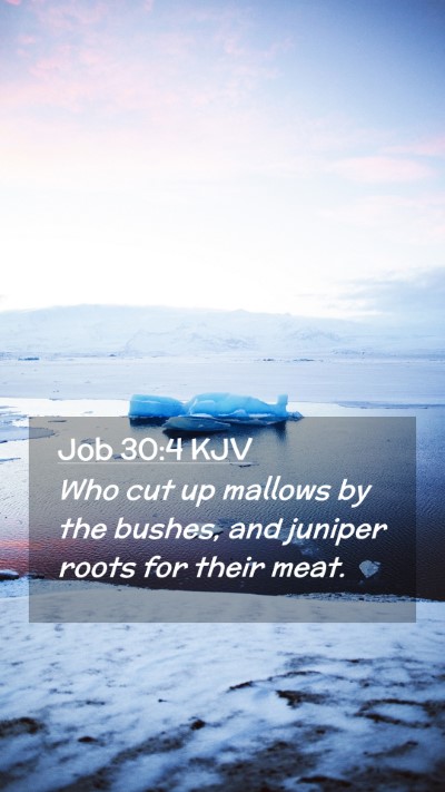 Picture 02 - Job 30:4 KJV Mobile Phone Wallpaper - Who cut up mallows by the bushes, and juniper - Mobile Bible Verse Wallpaper