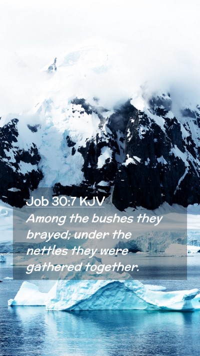 Picture 02 - Job 30:7 KJV Mobile Phone Wallpaper - Among the bushes they brayed; under the nettles - Mobile Bible Verse Wallpaper