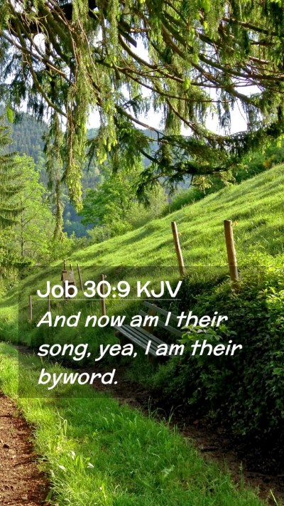 Picture 02 - Job 30:9 KJV Mobile Phone Wallpaper - And now am I their song, yea, I am their - Mobile Bible Verse Wallpaper