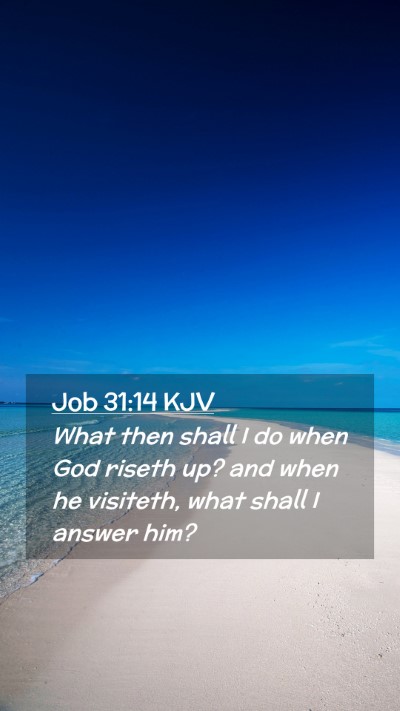 Picture 02 - Job 31:14 KJV Mobile Phone Wallpaper - What then shall I do when God riseth up? and when - Mobile Bible Verse Wallpaper