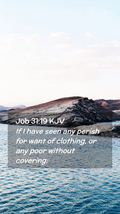 Picture 02 - Job 31:19 KJV Mobile Phone Wallpaper - If I have seen any perish for want of clothing, - Mobile Bible Verse Wallpaper