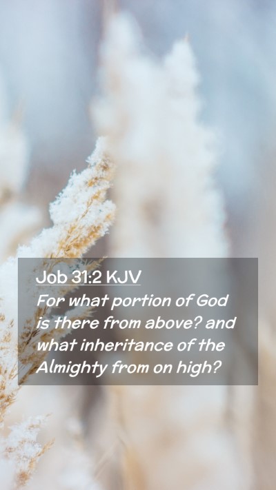 Picture 02 - Job 31:2 KJV Mobile Phone Wallpaper - For what portion of God is there from above? and - Mobile Bible Verse Wallpaper