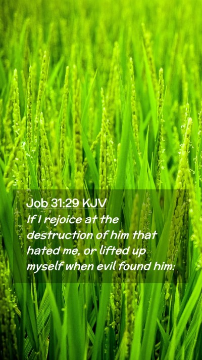 Picture 02 - Job 31:29 KJV Mobile Phone Wallpaper - If I rejoice at the destruction of him that hated - Mobile Bible Verse Wallpaper