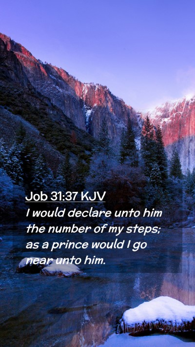 Picture 02 - Job 31:37 KJV Mobile Phone Wallpaper - I would declare unto him the number of my steps; - Mobile Bible Verse Wallpaper