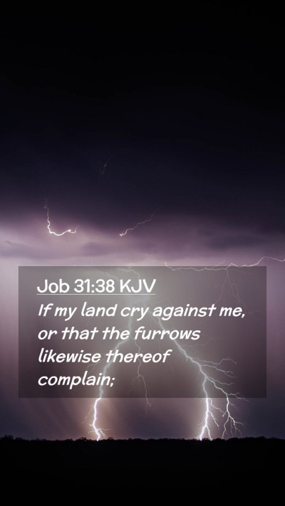 Picture 02 - Job 31:38 KJV Mobile Phone Wallpaper - If my land cry against me, or that the furrows - Mobile Bible Verse Wallpaper
