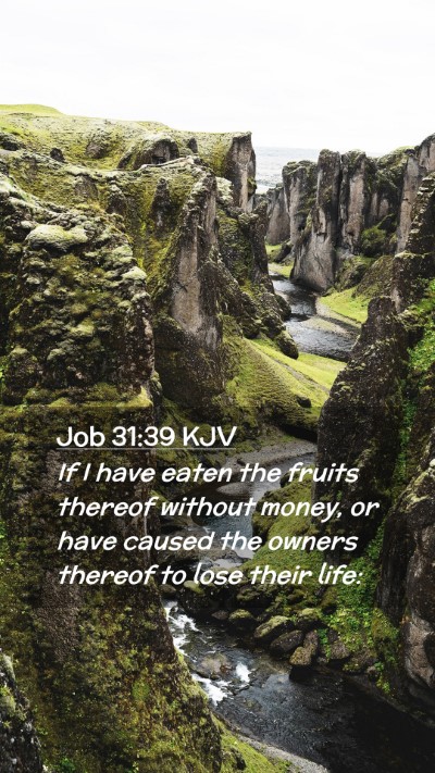 Picture 02 - Job 31:39 KJV Mobile Phone Wallpaper - If I have eaten the fruits thereof without money, - Mobile Bible Verse Wallpaper