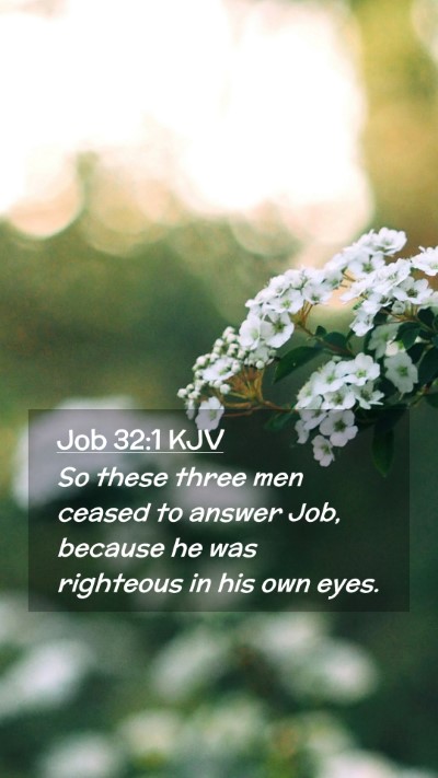 Picture 02 - Job 32:1 KJV Mobile Phone Wallpaper - So these three men ceased to answer Job, because - Mobile Bible Verse Wallpaper