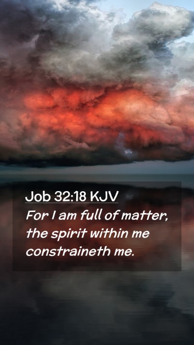 Picture 02 - Job 32:18 KJV Mobile Phone Wallpaper - For I am full of matter, the spirit within me - Mobile Bible Verse Wallpaper