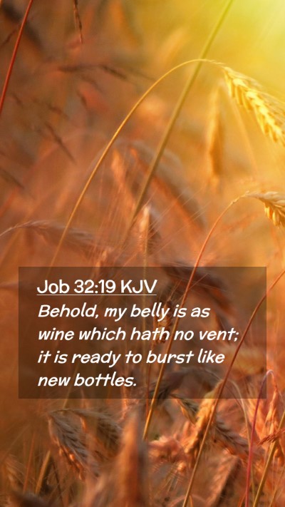 Picture 02 - Job 32:19 KJV Mobile Phone Wallpaper - Behold, my belly is as wine which hath no vent; - Mobile Bible Verse Wallpaper