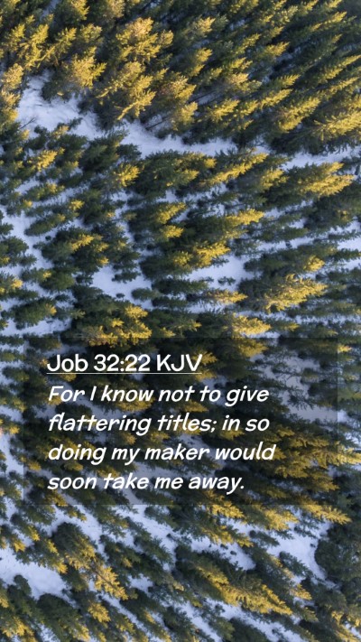 Picture 02 - Job 32:22 KJV Mobile Phone Wallpaper - For I know not to give flattering titles; in so - Mobile Bible Verse Wallpaper