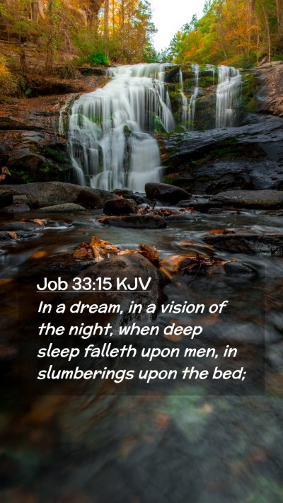 Picture 02 - Job 33:15 KJV Mobile Phone Wallpaper - In a dream, in a vision of the night, when deep - Mobile Bible Verse Wallpaper