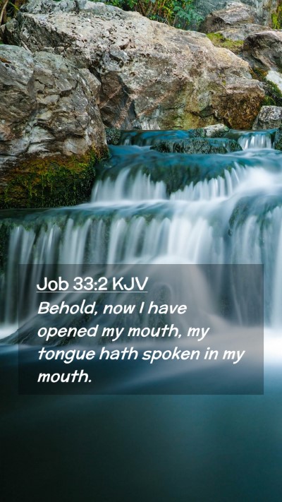 Picture 02 - Job 33:2 KJV Mobile Phone Wallpaper - Behold, now I have opened my mouth, my tongue - Mobile Bible Verse Wallpaper