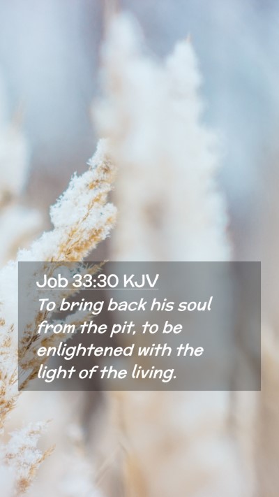 Picture 02 - Job 33:30 KJV Mobile Phone Wallpaper - To bring back his soul from the pit, to be - Mobile Bible Verse Wallpaper