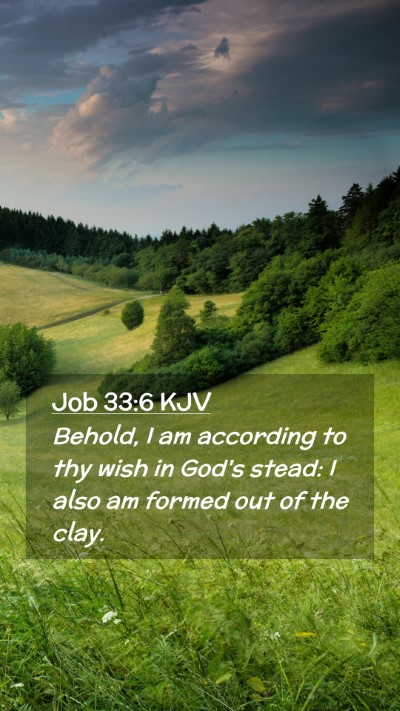 Picture 02 - Job 33:6 KJV Mobile Phone Wallpaper - Behold, I am according to thy wish in God's - Mobile Bible Verse Wallpaper