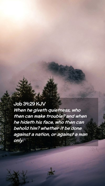 Picture 02 - Job 34:29 KJV Mobile Phone Wallpaper - When he giveth quietness, who then can make - Mobile Bible Verse Wallpaper
