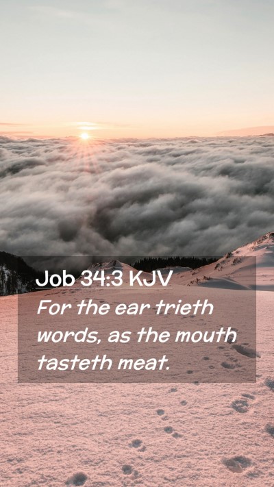Picture 02 - Job 34:3 KJV Mobile Phone Wallpaper - For the ear trieth words, as the mouth tasteth - Mobile Bible Verse Wallpaper