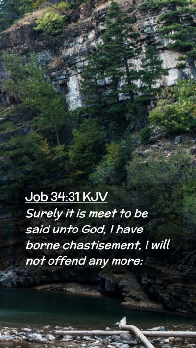 Picture 02 - Job 34:31 KJV Mobile Phone Wallpaper - Surely it is meet to be said unto God, I have - Mobile Bible Verse Wallpaper
