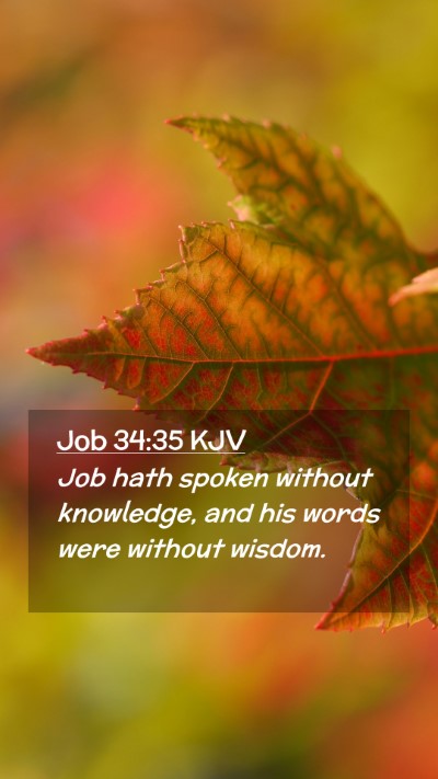 Picture 02 - Job 34:35 KJV Mobile Phone Wallpaper - Job hath spoken without knowledge, and his words - Mobile Bible Verse Wallpaper