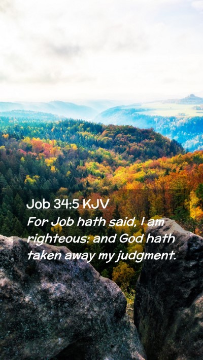 Picture 02 - Job 34:5 KJV Mobile Phone Wallpaper - For Job hath said, I am righteous: and God hath - Mobile Bible Verse Wallpaper
