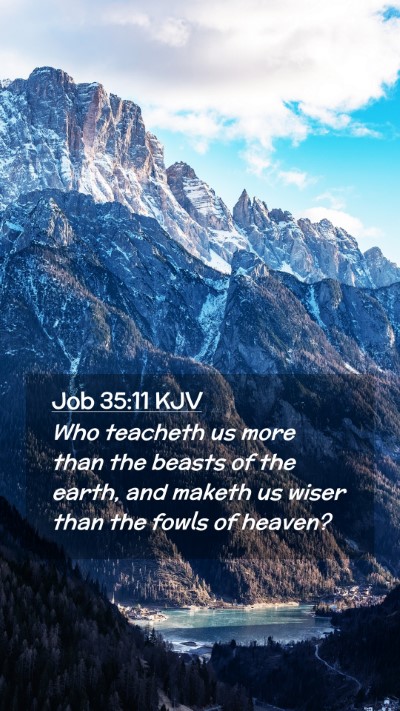 Picture 02 - Job 35:11 KJV Mobile Phone Wallpaper - Who teacheth us more than the beasts of the - Mobile Bible Verse Wallpaper