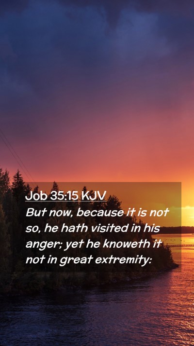Picture 02 - Job 35:15 KJV Mobile Phone Wallpaper - But now, because it is not so, he hath visited in - Mobile Bible Verse Wallpaper