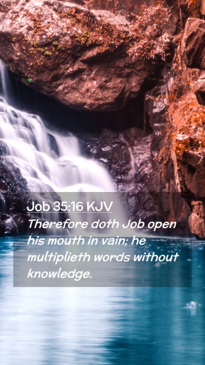 Picture 02 - Job 35:16 KJV Mobile Phone Wallpaper - Therefore doth Job open his mouth in vain; he - Mobile Bible Verse Wallpaper